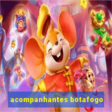 acompanhantes botafogo